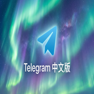纸飞机中文版如何购买Premium会员？支付方式汇总 - Telegram 官网