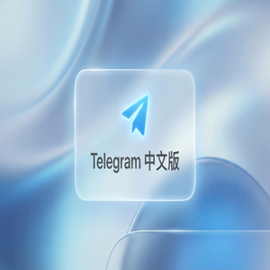 纸飞机中文版字体大小与界面显示调整方法 - Telegram 官网